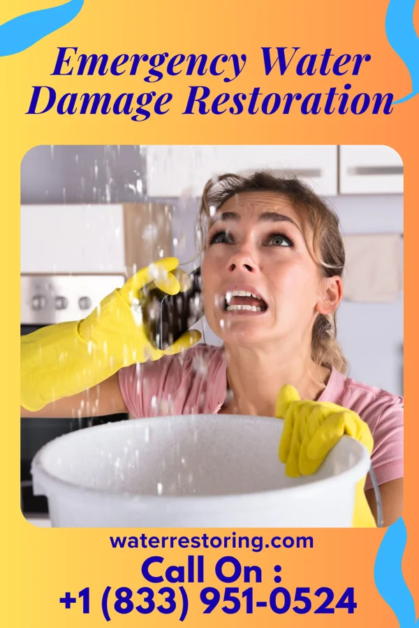 Emergency Water Damage Restoration in Midlothian, IL