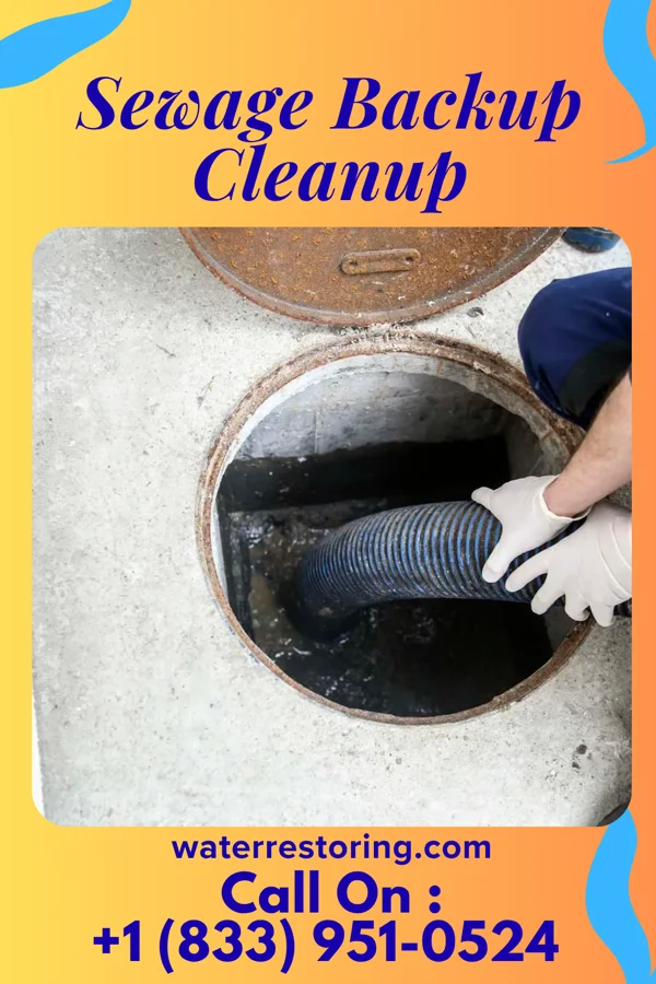 Sewage Backup Cleanup in Midlothian, IL